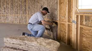 Best Basement Insulation  in Thiensville, WI